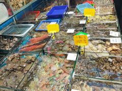 -船奇蒸汽海鲜·闽菜(八市海鲜总店)