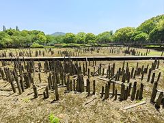 -河姆渡遗址博物馆