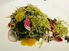 -Oyster Talks 四度蚝法餐厅