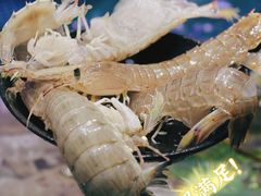 -初色海鲜自助(万丰路店)