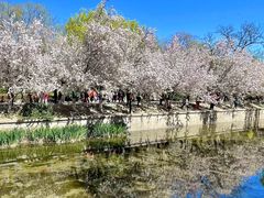 -海棠花溪(元大都城垣遗址公园)