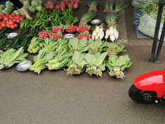 -北京清河镇农副产品交易市场中心