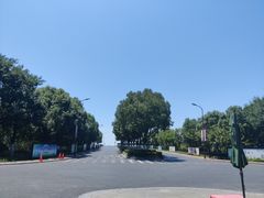 -合肥滨湖国家森林公园