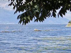 -大理洱海