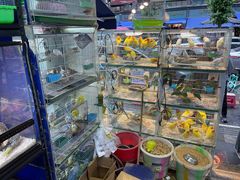 -青石桥花鸟鱼虫市场(叠翠城店)