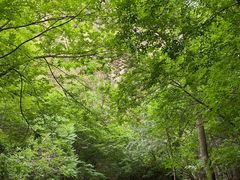 -野三坡百里峡景区