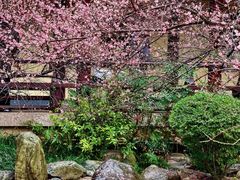 -庐山风景名胜区-东林大佛