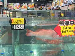 -绿雅居原生态农庄(小涌店)