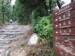 -阳台山自然风景区