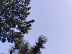 -妙峰山风景名胜区
