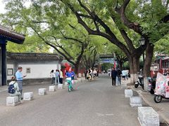 -北京国子监胡同