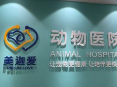 -美迦爱动物医院·夜诊(朝阳路诊疗中心)