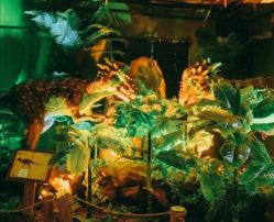 -恐龙探索乐园(磁器口店)