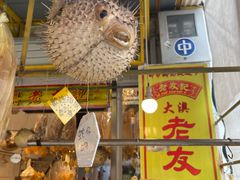 -大澳渔村及棚屋