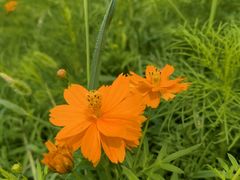 -野鸭湖国家湿地公园