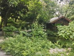 -成都市活水公园