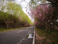 -同里国家湿地公园