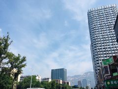 -赵记煎饼卷大葱(东岳店)