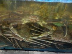 -蟹之国·精品蟹料理(极地店)