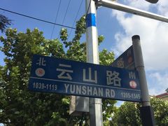 -金杨老摊头蛋饼(金口路店)
