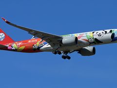 -福州长乐国际机场航站楼-停车场