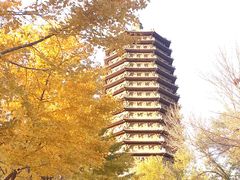 -玲珑塔公园