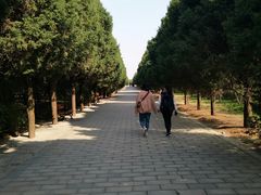 -秦始皇帝陵博物院-丽山园