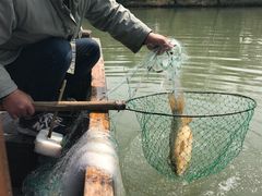 -烟水渔庄餐厅(西溪湿地店)