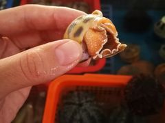 -清水湾3号(东方小周海鲜店)