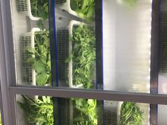 -黔府豆米火锅野菜馆(南马店)