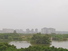 -眉山湿地公园(东坡区)