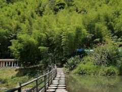 -千泷沟大瀑布旅游区