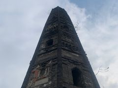 -上海佘山国家森林公园天马山园