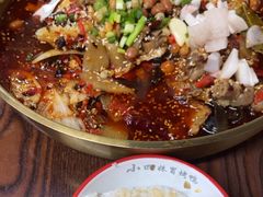 -德优正宗川菜馆