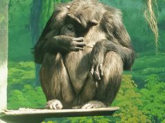-宁波野生动物园