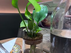 -osteria pelecanus鹈鹕野餐(滨江星耀店)