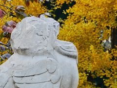 -北京石刻艺术博物馆(五塔寺)