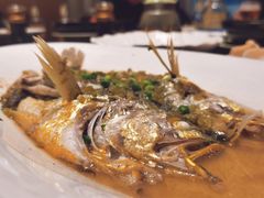 大黄鱼雪菜蒸-高佳庄·舟山海鲜(海景旗舰店)