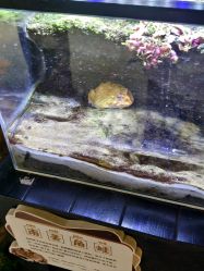 -酷嗒动物文化乐园(cutezoo西溪乐天城店)