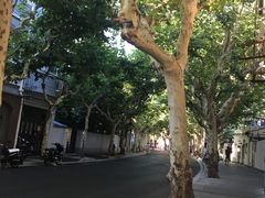 -小团圆糖水铺(襄阳南路店)