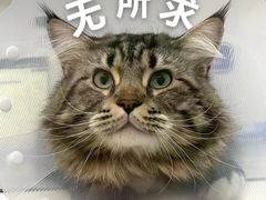 -拜鲁耶动物诊疗中心·宠家动物医院