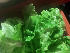 -捞王猪肚鸡火锅(昆山店)