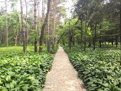 -黑龙江省森林植物园
