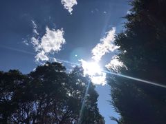 -延安杨家岭革命旧址