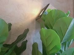 -外婆船宴餐厅·外婆喊你回家吃饭