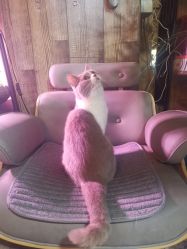 -青木造型HAIR·あおき髪を刈る潮人店