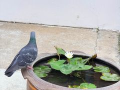 -曼谷国家博物馆