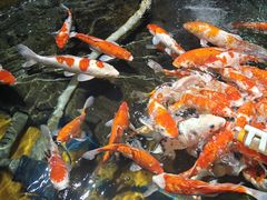 -太平洋海底世界