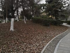 -长安大学(北校区)