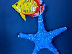 -巧克力渔家.小船海鲜胶东菜(万平口店)